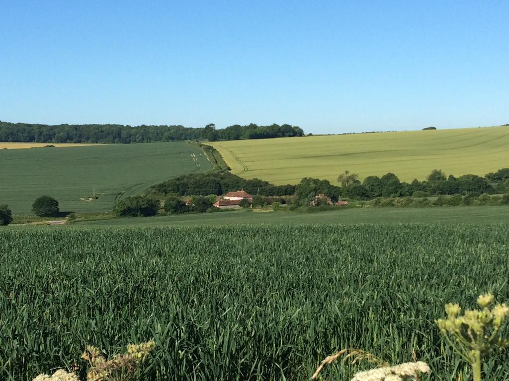 Shepherds Barn West Dean Exteriör bild